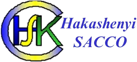 Hakashenyi SACCO-Web Logo Final
